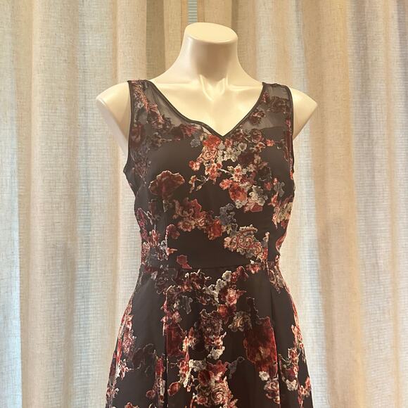 NEW WHBM Floral Burnout Fit and Flare Dress sz 4 whimsigoth dress - Picture 11 of 13